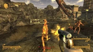 Fallout New Vegas 5